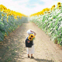 franximenesblog avatar