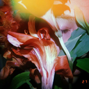 frases-del-diaadia avatar