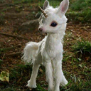 frasesdelasagahushhush avatar