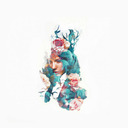 frasesecitacoes avatar