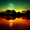 frasesl12345678 avatar