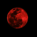 frazzl-burry-blog avatar