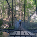 frazzledcurls avatar