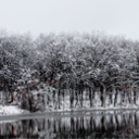 frcnkensteins avatar