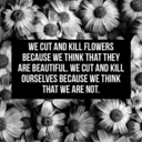 freak-and-proud avatar