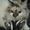 freakozoidboy avatar