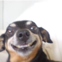 freaksalad-blog avatar