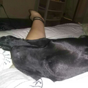 freaksforthewin avatar