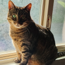 freakyelfgirl avatar