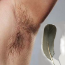 freakyfeatherfan avatar