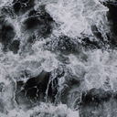 freakyfieldtrip avatar