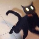 freckled-limeade avatar