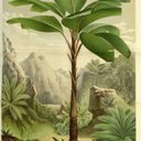 freckled-summer-blog avatar