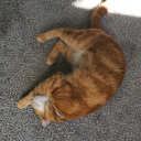 freckled-w1tch avatar