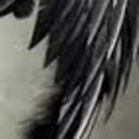 freckledblackfeathers avatar