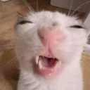 freckledstarlet avatar