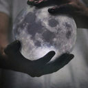 freddacomelanotte avatar