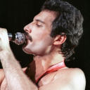 freddiemercuryfanbase avatar