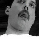 freddiewillrock avatar