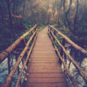 frederike1998 avatar