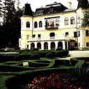 fredkorematsu avatar