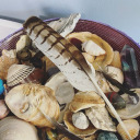 free-my-wonderland avatar