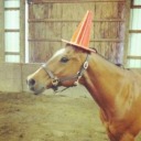 free-rein-finally-trended avatar