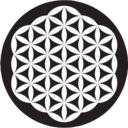 free-spirit-dude avatar