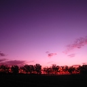 freeandinpeace avatar