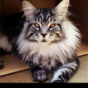 freebarbariandinosaur avatar