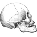 freebendertank avatar