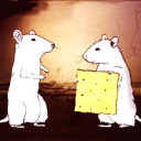 freedom-in-darkness avatar