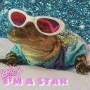 freedomfighter51 avatar