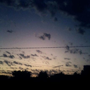 freedomforyou avatar