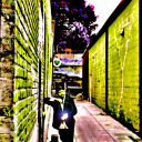 freedomjenkins420 avatar