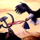 freedomlovingamericans avatar