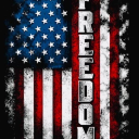 freedomlovingamericans2 avatar