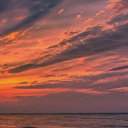 freedompursuer avatar