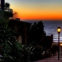 freedomsoutcast avatar