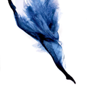 freedomtodance avatar