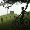 freeeeeeeee-falling avatar