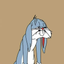 freefestpanda avatar