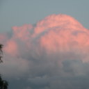 freegardenergladiator avatar