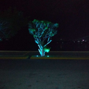 freeghoststudent avatar