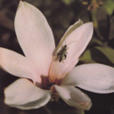 freekitten666 avatar