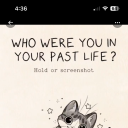 freelancer-freckles avatar