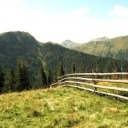 freelancerrealtalk avatar