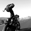 freeliberumarbitrium avatar