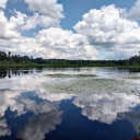 freelovefreespirit avatar