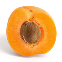 freerangepaleo avatar